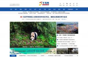 千龙网
